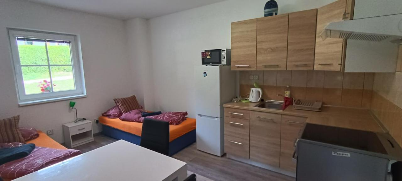 דירות סטראז'ני Apartman U Lebedu מראה חיצוני תמונה